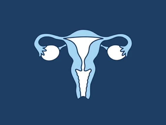 implantation-optimization