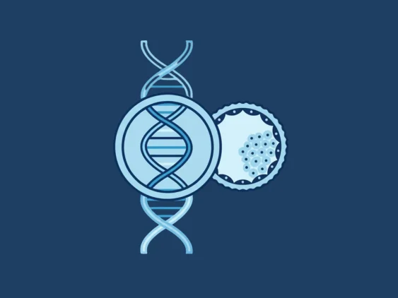 inhouse-preimplantation-genetic-testing