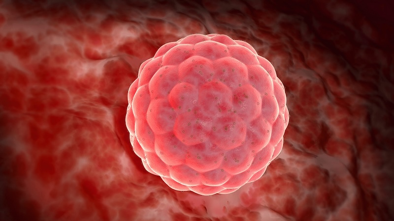 2013: Global and Southeast Asian Milestones in Embryo Viability and Cryopreservation