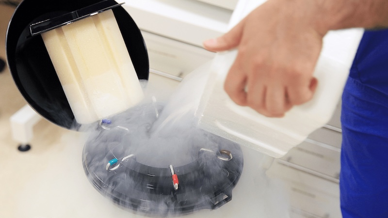 2014 Reproductive Innovations: Advancements in Embryo Selection, Fertilization Techniques, and Cryopreservation