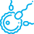 Fertilization & Embryo Development